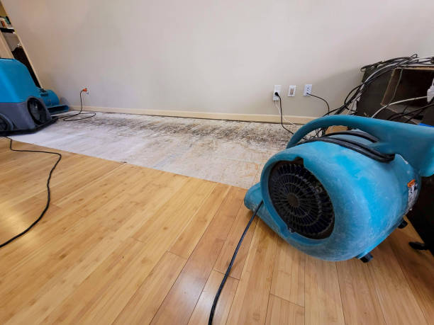 Professional Water Removal technician working in Mammoth, AZ